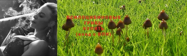 ГАЛЛЮЦИНОГЕННЫЕ ГРИБЫ Балахна